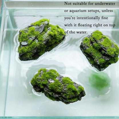 Miniature Moss Stones for Terrarium - Tree Bark Diorama Rocks for Miniature Terrain Display - Lightweight Reptile Habitat Decor - NOT for Aquarium Underwater Use - 12 Pcs Flocking-Covered (1-2 inch)