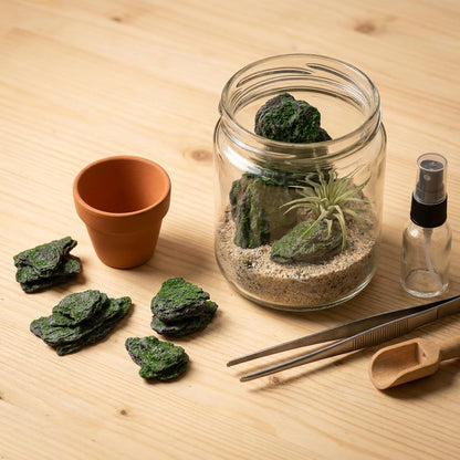 Miniature Moss Stones for Terrarium - Tree Bark Diorama Rocks for Miniature Terrain Display - Lightweight Reptile Habitat Decor - NOT for Aquarium Underwater Use - 12 Pcs Flocking-Covered (1-2 inch)