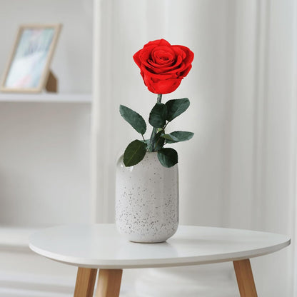 Birthday Gifts for Women Mom,Forever Rainbow Rose Flower For Delivery Prime | Christmas Rose Gifts For Women Mom,Purple Artificial Flowers Rose Gift For Women Her,Anniversary,Valentines,Stocking Stuffers