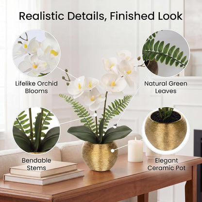 Artificial Orchid Flowers in Gold Ceramic Pot, 13" Small White Faux Phalaenopsis Orchid Floral Arrangement Fake Silk Orchid for Bathroom Vanity Office Desk Shelf Nightstand Home Table Decor