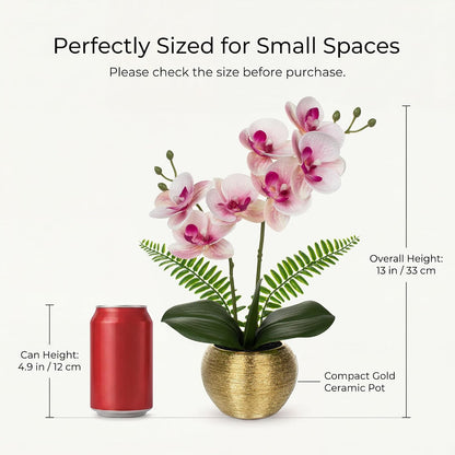 Artificial Orchid Flowers in Gold Ceramic Pot, 13" Small White Faux Phalaenopsis Orchid Floral Arrangement Fake Silk Orchid for Bathroom Vanity Office Desk Shelf Nightstand Home Table Decor