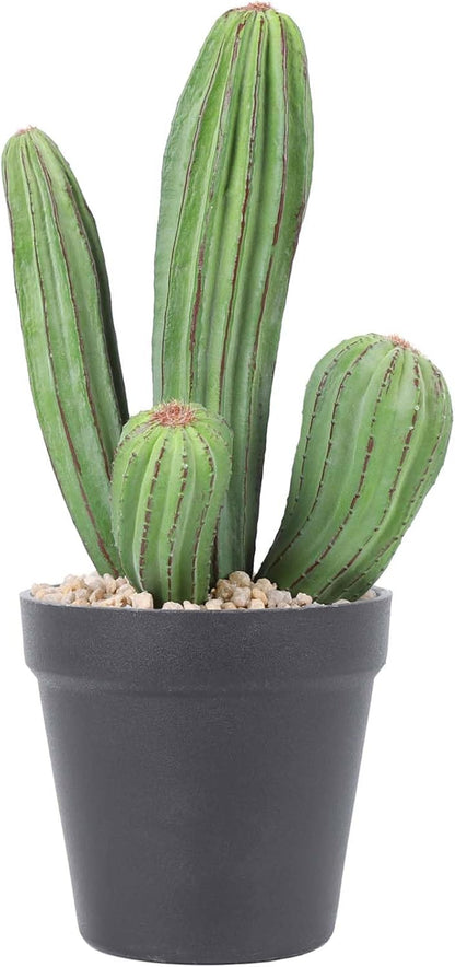 Artificial Cactus Fake Cacti 11" Faux Potted Cactus Plants for Home Store Office Decoration