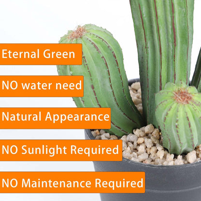 Artificial Cactus Fake Cacti 11" Faux Potted Cactus Plants for Home Store Office Decoration