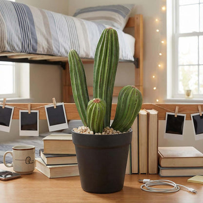 Artificial Cactus Fake Cacti 11" Faux Potted Cactus Plants for Home Store Office Decoration