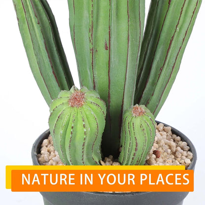 Artificial Cactus Fake Cacti 11" Faux Potted Cactus Plants for Home Store Office Decoration