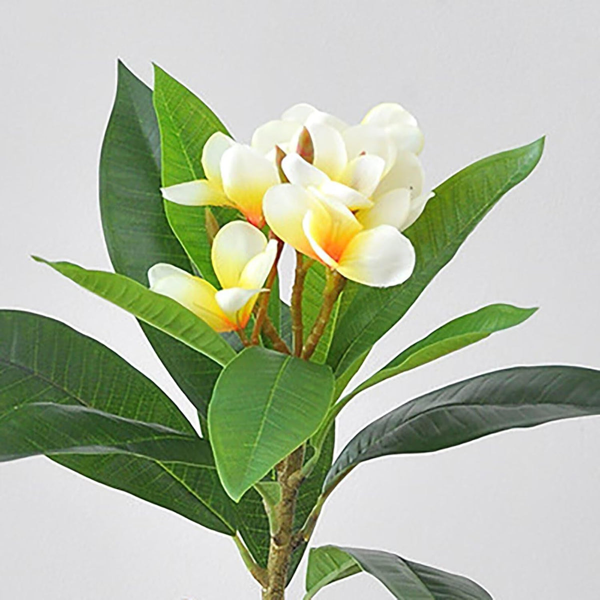 4Pcs Artificial Frangipani Flower Yellow Fake Plumeria Flowers with Leaves Real Touch Lifelike Plumeria with Stems Faux Frangipani Flower Bouquets for Home Office Wedding Decoration