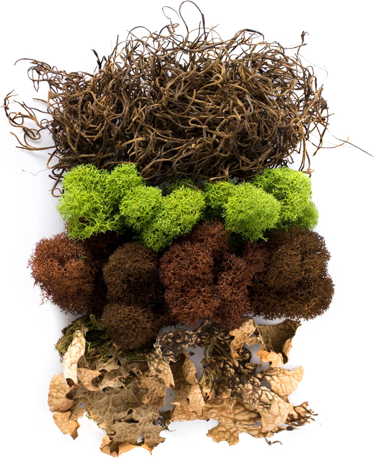 (23311) Elegant Decorative Mixed moss, MultiColor, 120 cu.in., white