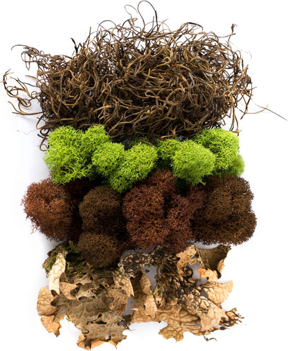 (23311) Elegant Decorative Mixed moss, MultiColor, 120 cu.in., white