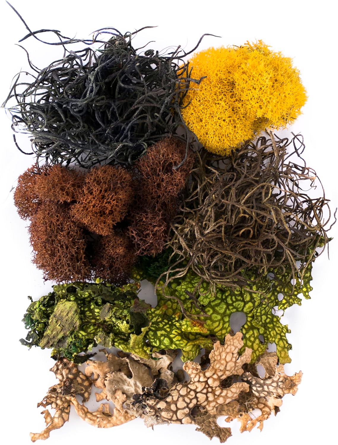 (23311) Elegant Decorative Mixed moss, MultiColor, 120 cu.in., white