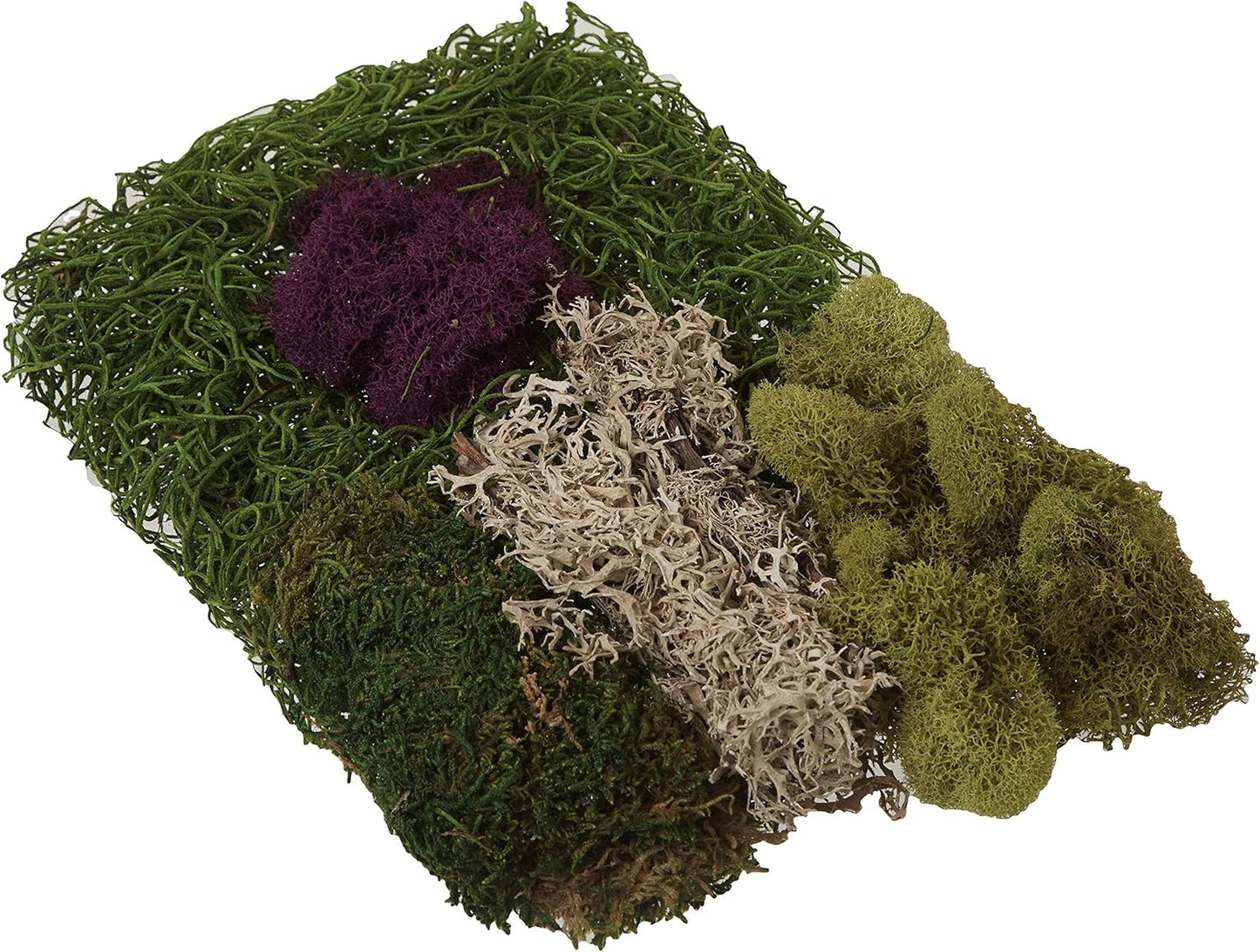 (23311) Elegant Decorative Mixed moss, MultiColor, 120 cu.in., white