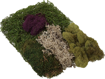 (23311) Elegant Decorative Mixed moss, MultiColor, 120 cu.in., white