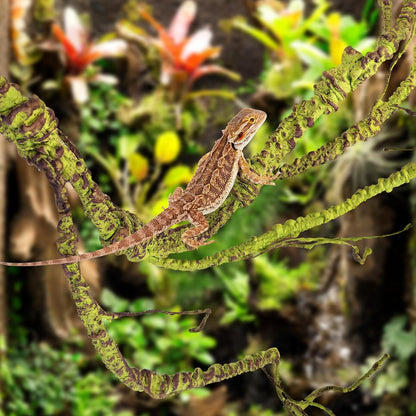 Flexible Bend-A-Branch Jungle Vines Pet Habitat Decor Reptile Plants Terrarium for Lizard, Frogs, Snakes and More Reptiles Climbing (Fat: 43.31 x 0.79 Inch)