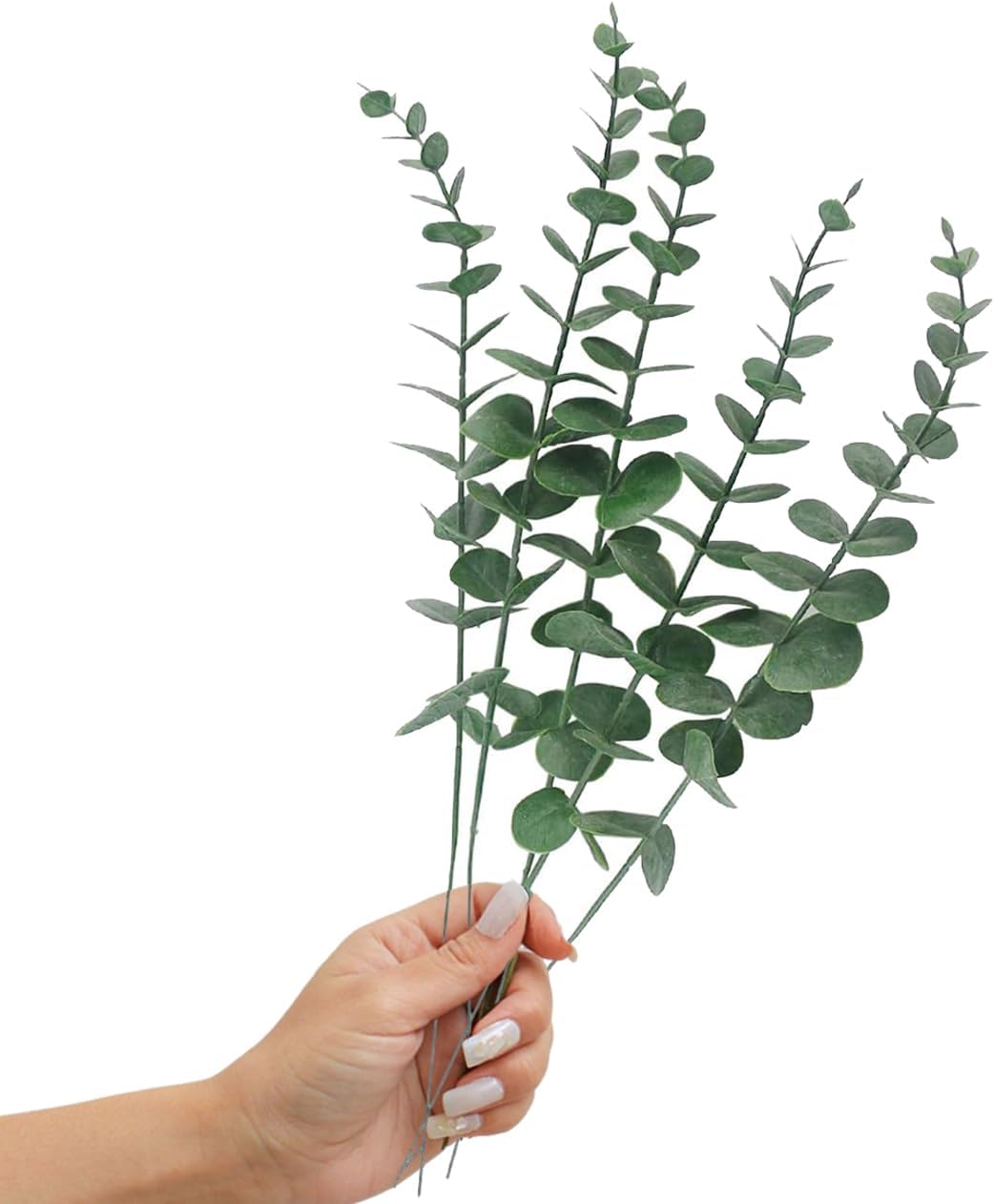 5 Pcs Artificial Eucalyptus Leaves Faux Eucalyptus Stems
