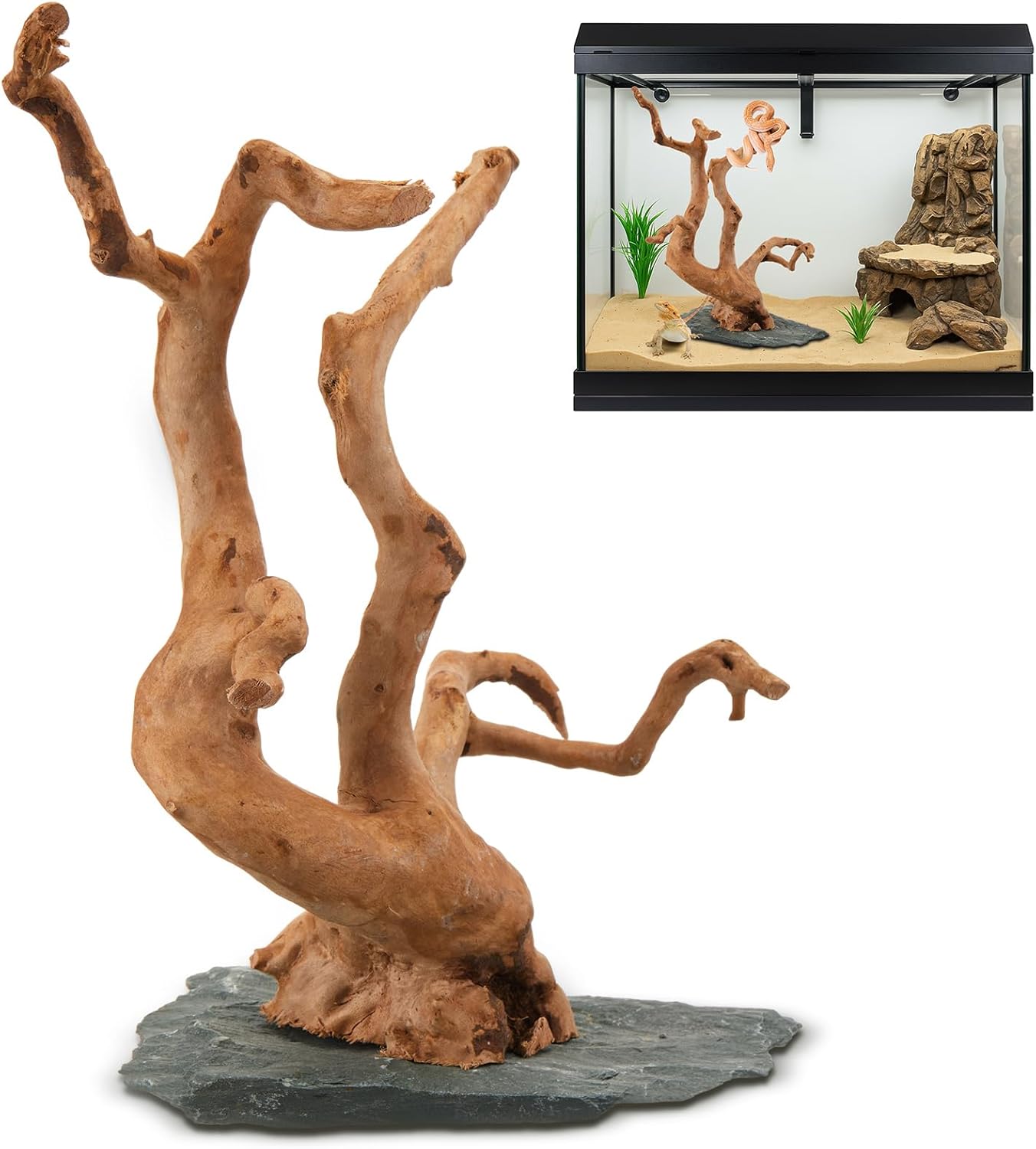 Large Driftwood for Aquarium, 8.5-11.5 Inch Spider Wood on Slate Stone, Natural Spiderwood Aquarium Driftwood Aquascaping Wood for Reptile Enclosure, Terrarium, Reptile Tank, Fish Tank Decor