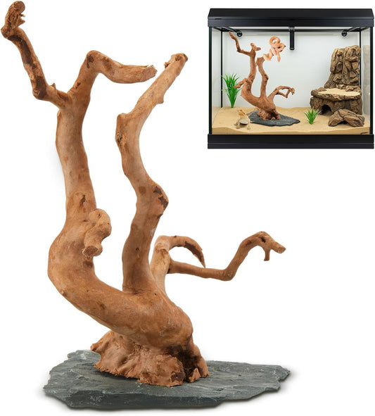 Large Driftwood for Aquarium, 8.5-11.5 Inch Spider Wood on Slate Stone, Natural Spiderwood Aquarium Driftwood Aquascaping Wood for Reptile Enclosure, Terrarium, Reptile Tank, Fish Tank Decor