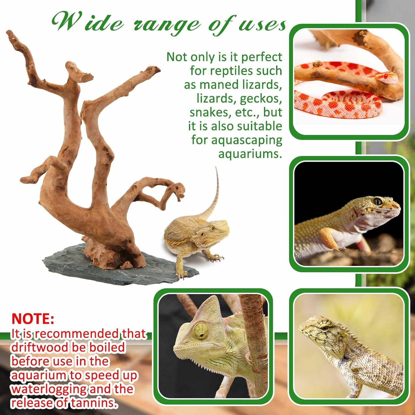 Large Driftwood for Aquarium, 8.5-11.5 Inch Spider Wood on Slate Stone, Natural Spiderwood Aquarium Driftwood Aquascaping Wood for Reptile Enclosure, Terrarium, Reptile Tank, Fish Tank Decor