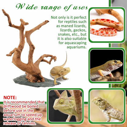 Large Driftwood for Aquarium, 8.5-11.5 Inch Spider Wood on Slate Stone, Natural Spiderwood Aquarium Driftwood Aquascaping Wood for Reptile Enclosure, Terrarium, Reptile Tank, Fish Tank Decor