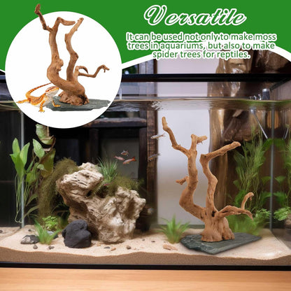 Large Driftwood for Aquarium, 8.5-11.5 Inch Spider Wood on Slate Stone, Natural Spiderwood Aquarium Driftwood Aquascaping Wood for Reptile Enclosure, Terrarium, Reptile Tank, Fish Tank Decor