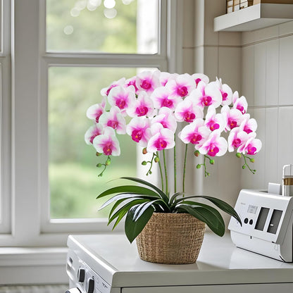 38 Inch Artificial Phalaenopsis Flowers Branches Real Touch (Not Silk) Orchids Flowers for Home Office Wedding Decoration,Pack of 2 (White)