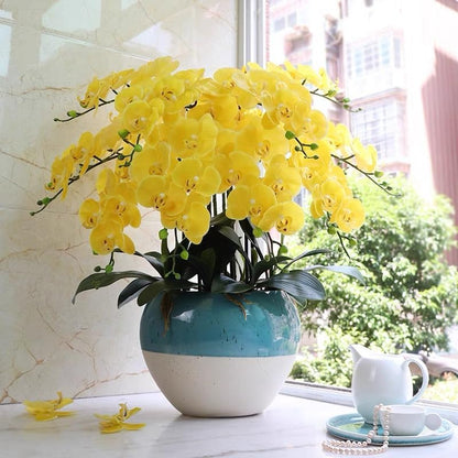 38 Inch Artificial Phalaenopsis Flowers Branches Real Touch (Not Silk) Orchids Flowers for Home Office Wedding Decoration,Pack of 2 (White)