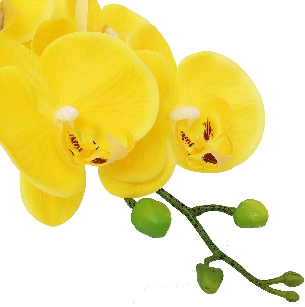38 Inch Artificial Phalaenopsis Flowers Branches Real Touch (Not Silk) Orchids Flowers for Home Office Wedding Decoration,Pack of 2 (White)