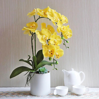 38 Inch Artificial Phalaenopsis Flowers Branches Real Touch (Not Silk) Orchids Flowers for Home Office Wedding Decoration,Pack of 2 (White)
