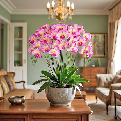 38 Inch Artificial Phalaenopsis Flowers Branches Real Touch (Not Silk) Orchids Flowers for Home Office Wedding Decoration,Pack of 2 (White)