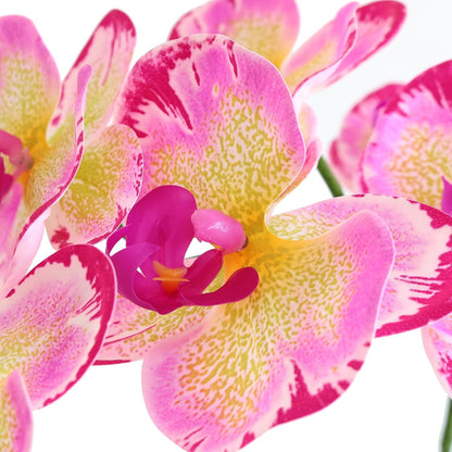 38 Inch Artificial Phalaenopsis Flowers Branches Real Touch (Not Silk) Orchids Flowers for Home Office Wedding Decoration,Pack of 2 (White)