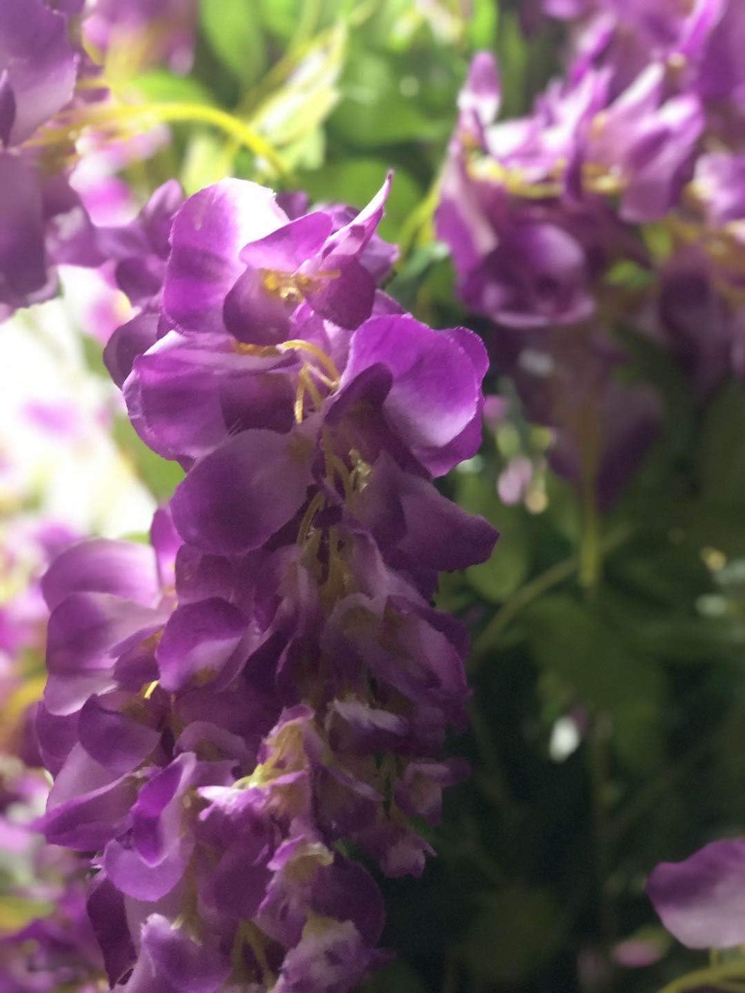 Gorgeous & Unique 5 Feet Pre-Potted Artificial Purple Red Wisteria Tree with Flowers, Feel Real Technology