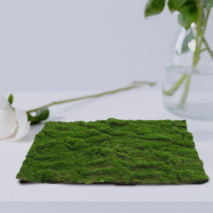 Artificial Moss Grass Turf Tile 30Cm X 30Cm Faux Green Grass Patch for Bonsai, Reptile Moss Terrarium Decoration, Indoor Outdoor Table Mat Home Garden Décor