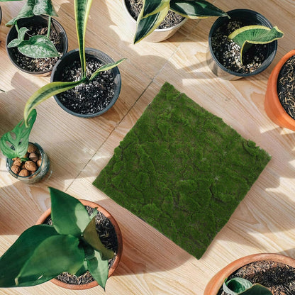 Artificial Moss Grass Turf Tile 30Cm X 30Cm Faux Green Grass Patch for Bonsai, Reptile Moss Terrarium Decoration, Indoor Outdoor Table Mat Home Garden Décor