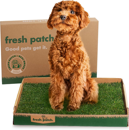 Real Grass Patch for Dogs, Cats, and Small-Medium Pets Under 15 Pounds – Disposable Pet Grass Pee Pads – Indoor and Outdoor Potty Training Mat (16 Inches x 24 Inches)