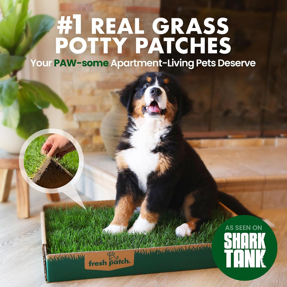 Real Grass Patch for Dogs, Cats, and Small-Medium Pets Under 15 Pounds – Disposable Pet Grass Pee Pads – Indoor and Outdoor Potty Training Mat (16 Inches x 24 Inches)