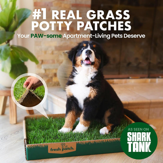 Real Grass Patch for Dogs, Cats, and Small-Medium Pets Under 15 Pounds – Disposable Pet Grass Pee Pads – Indoor and Outdoor Potty Training Mat (16 Inches x 24 Inches)