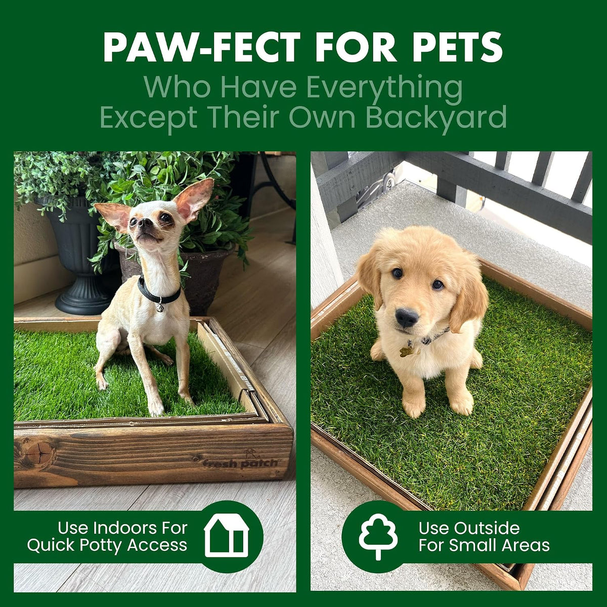 Real Grass Patch for Dogs, Cats, and Small-Medium Pets Under 15 Pounds – Disposable Pet Grass Pee Pads – Indoor and Outdoor Potty Training Mat (16 Inches x 24 Inches)