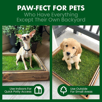 Real Grass Patch for Dogs, Cats, and Small-Medium Pets Under 15 Pounds – Disposable Pet Grass Pee Pads – Indoor and Outdoor Potty Training Mat (16 Inches x 24 Inches)