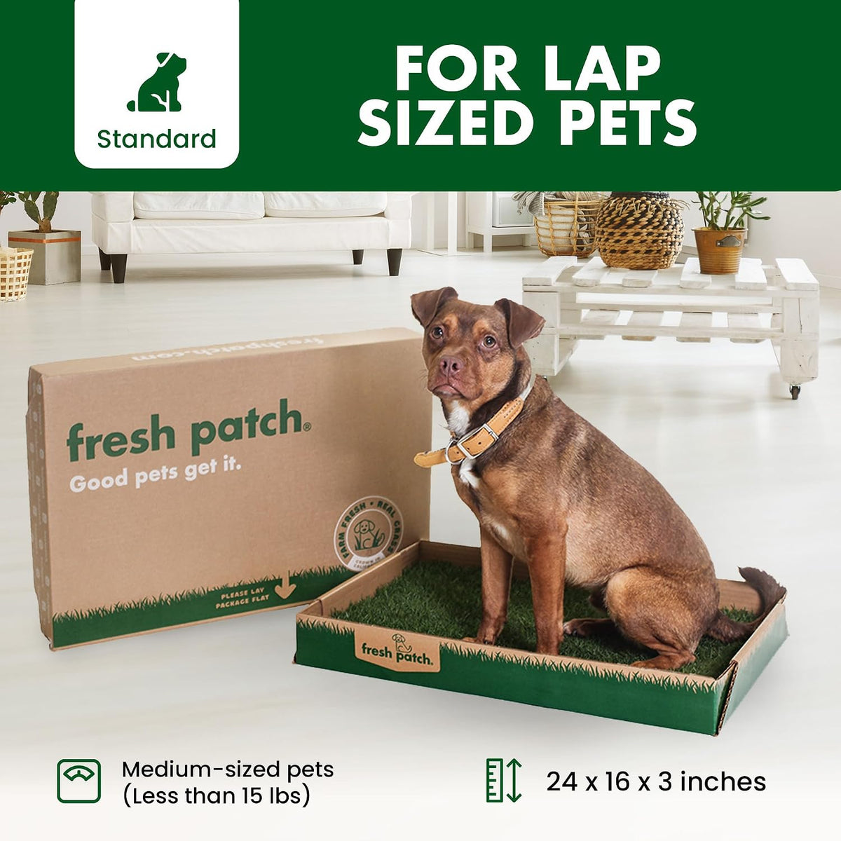 Real Grass Patch for Dogs, Cats, and Small-Medium Pets Under 15 Pounds – Disposable Pet Grass Pee Pads – Indoor and Outdoor Potty Training Mat (16 Inches x 24 Inches)