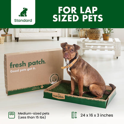 Real Grass Patch for Dogs, Cats, and Small-Medium Pets Under 15 Pounds – Disposable Pet Grass Pee Pads – Indoor and Outdoor Potty Training Mat (16 Inches x 24 Inches)