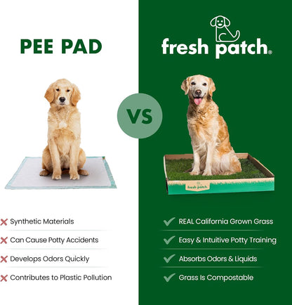 Real Grass Patch for Dogs, Cats, and Small-Medium Pets Under 15 Pounds – Disposable Pet Grass Pee Pads – Indoor and Outdoor Potty Training Mat (16 Inches x 24 Inches)