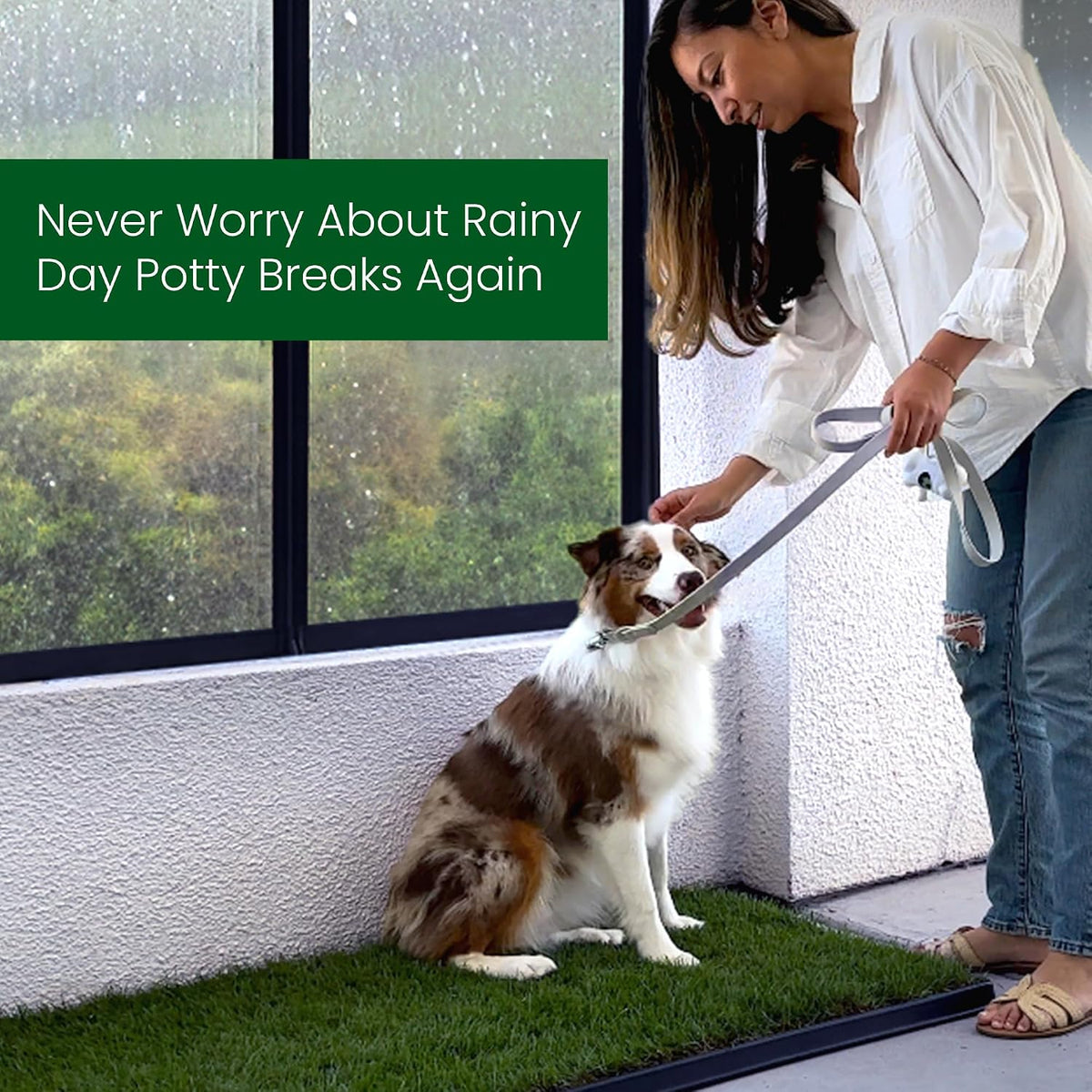 Real Grass Patch for Dogs, Cats, and Small-Medium Pets Under 15 Pounds – Disposable Pet Grass Pee Pads – Indoor and Outdoor Potty Training Mat (16 Inches x 24 Inches)