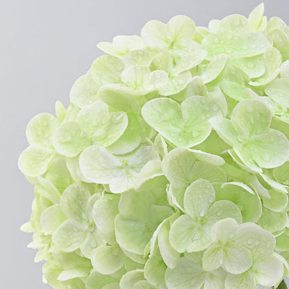 21in Hydrangea Artificial Flowers, Latex Real Touch Hydrangeas (Blue) | Lifelike Large Hydrangea Flowers Long Stem Fake Hydrangeas for Home Decor Party Arrangements Wedding Bouquets Centerpieces