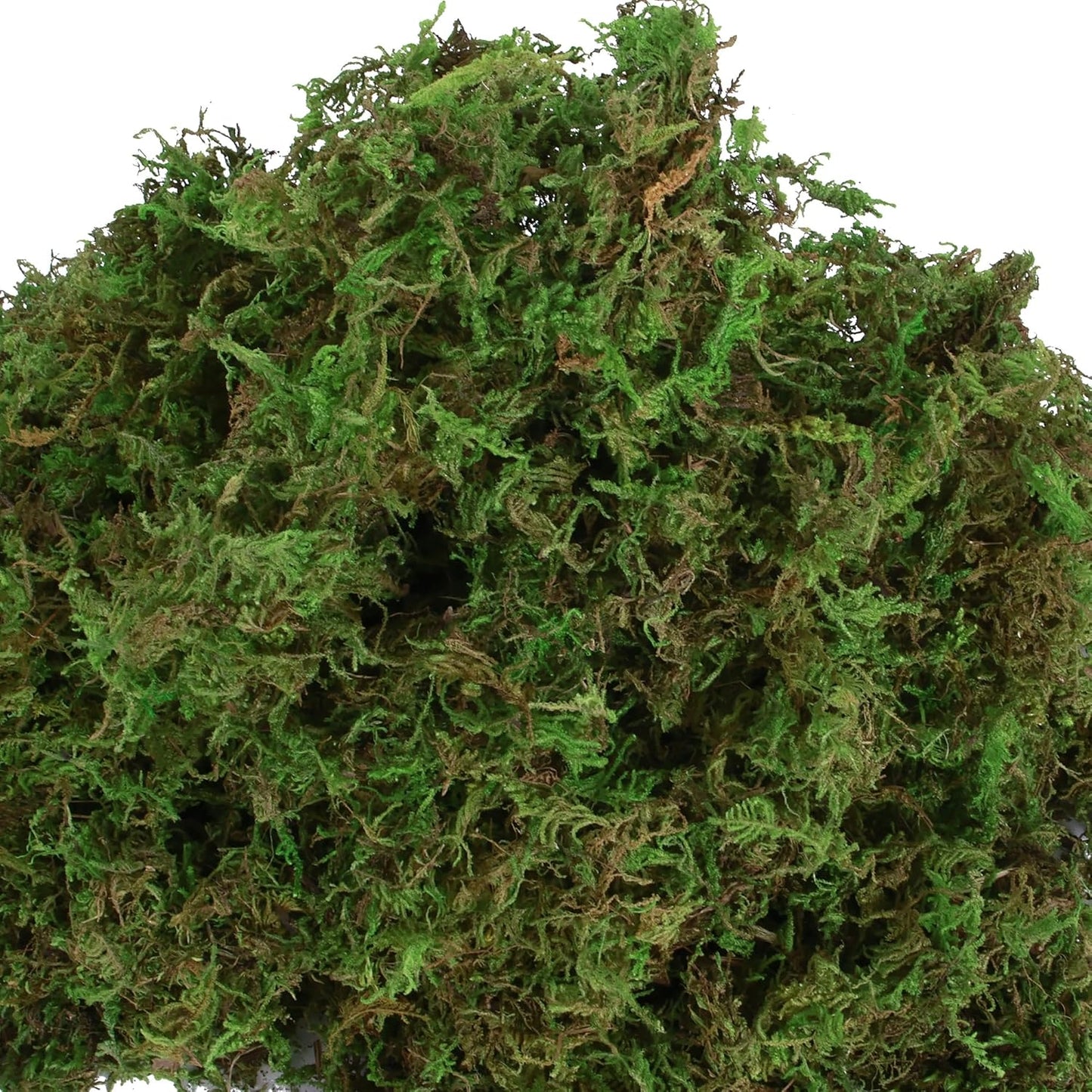 Fake Moss for Potted Plants Indoor, 2LBS Large Capacity Artificial Green Moss for DIY Crafts, Faux Moss for Table Centerpieces Fairy Garden Terrariums Decor (32OZ)