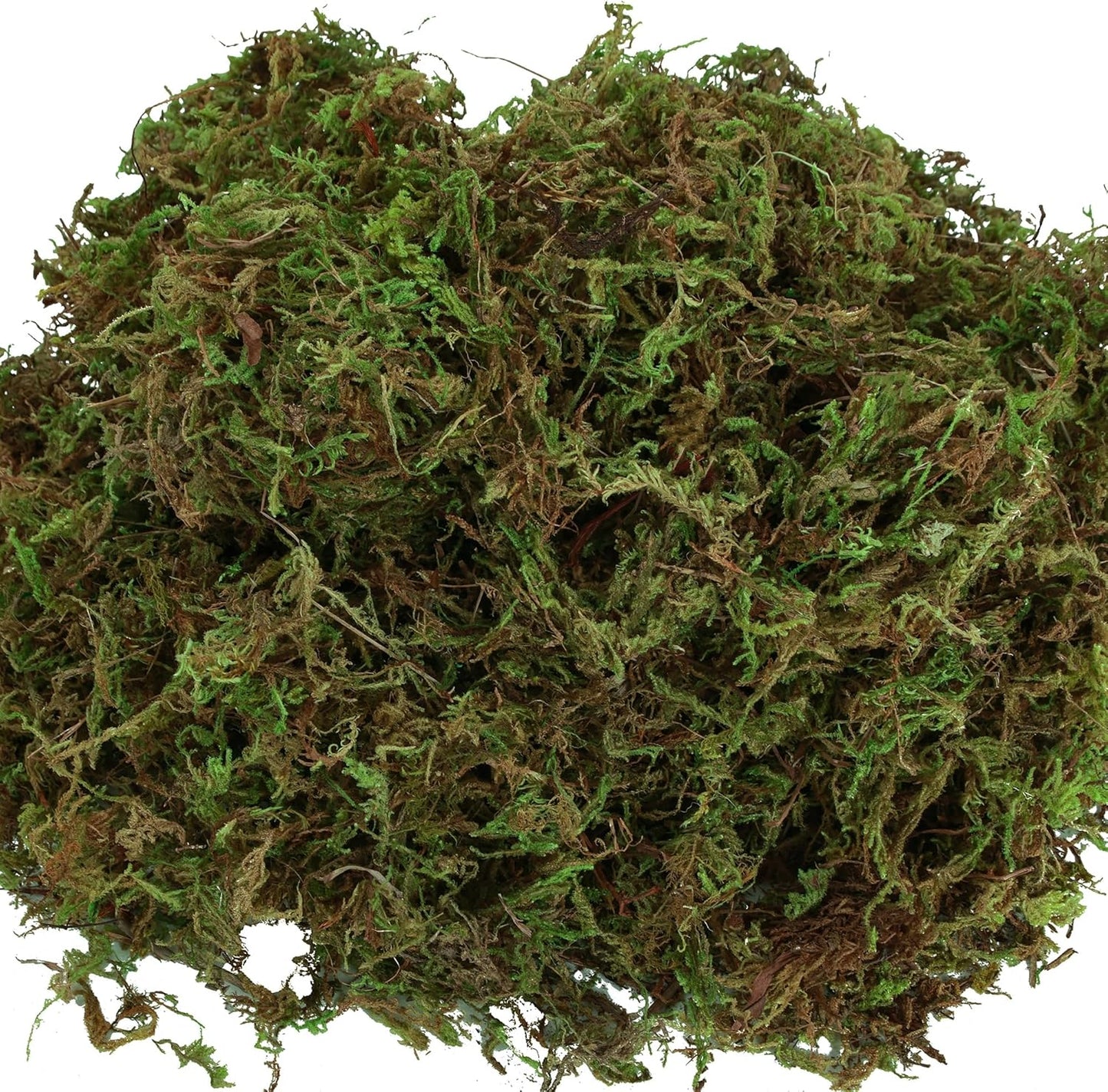 Fake Moss for Potted Plants Indoor, 2LBS Large Capacity Artificial Green Moss for DIY Crafts, Faux Moss for Table Centerpieces Fairy Garden Terrariums Decor (32OZ)