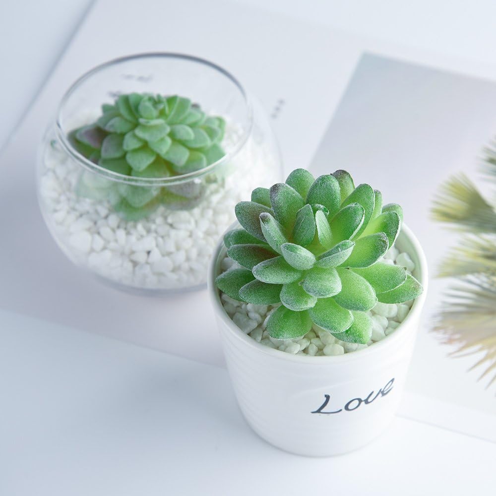 15 Pcs Artificial Succulent Plants Green Unpotted Faux Flower Succulents Mini Echeveria Picks Bulk Stems for Home Indoor Fairy Garden Decorations