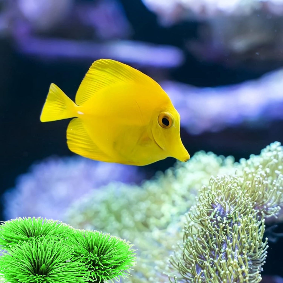 Fish Breeding Grass, Aquarium Fish Tank Plastic Plants Ornamental Fish Betta Resting Spawning Bed Plastic Aquarium Plants Fish Tank Supplies