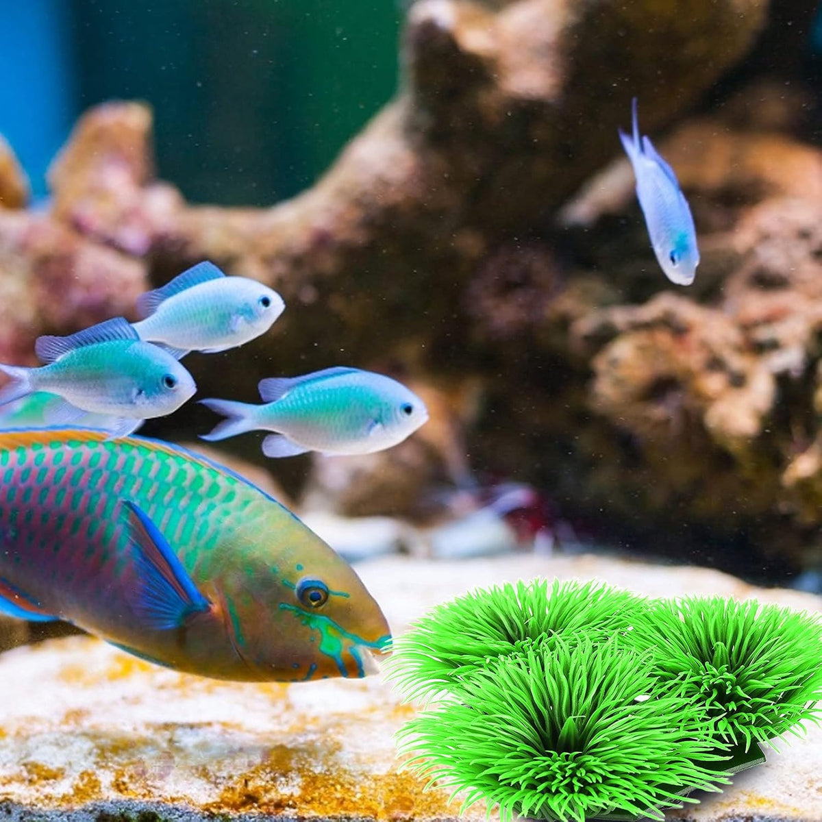 Fish Breeding Grass, Aquarium Fish Tank Plastic Plants Ornamental Fish Betta Resting Spawning Bed Plastic Aquarium Plants Fish Tank Supplies
