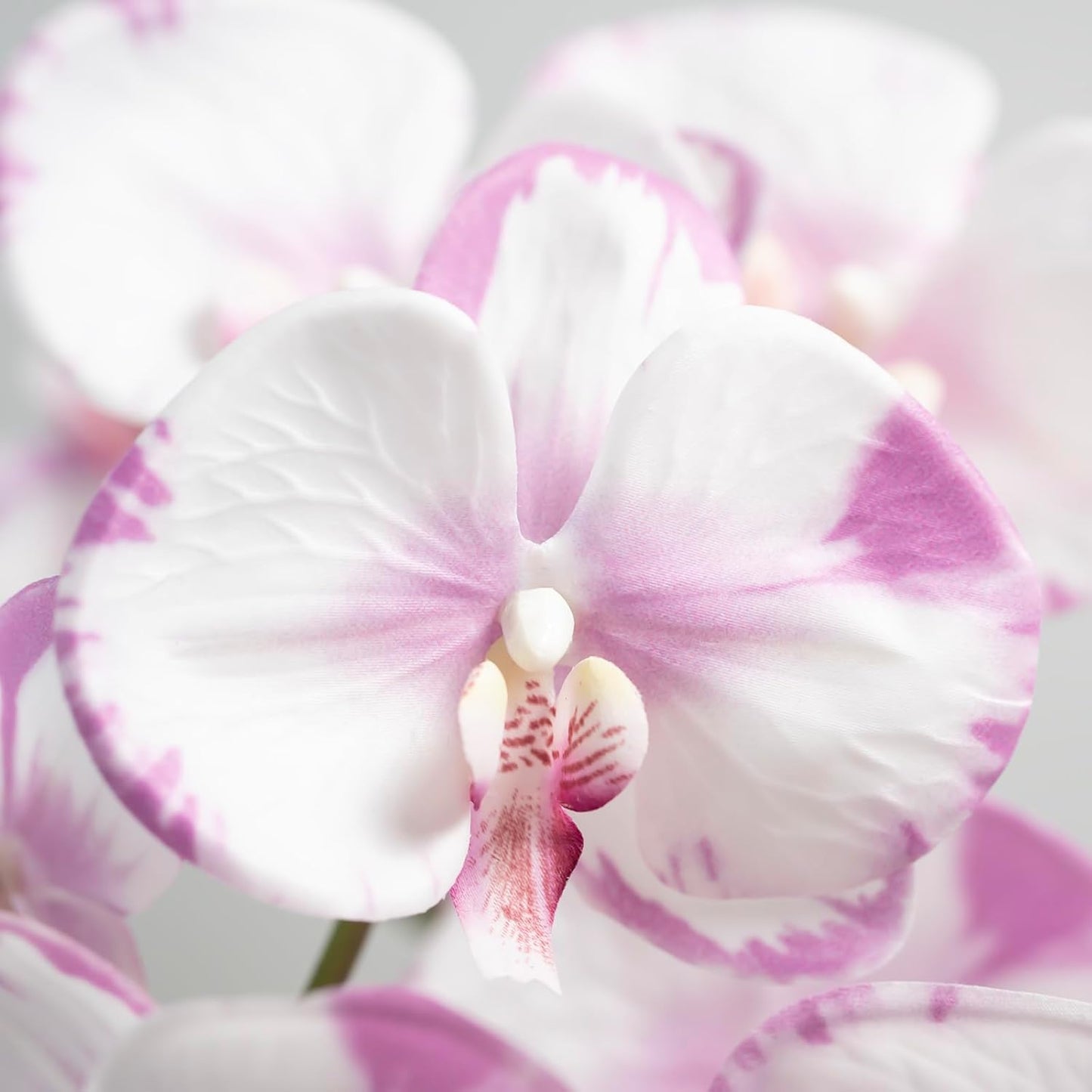 Artificial Orchid Plant, 35 Inch 4 Pcs Phalaenopsis Flowers with Leaves, Real Touch Orchid Stems for Home Decoration