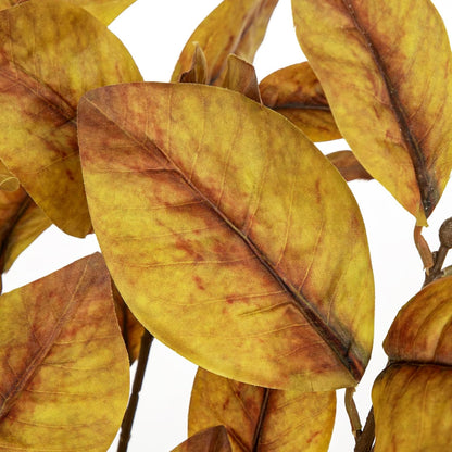 Artificial Magnolia Floral Stems 2PCS 19.7'' Tall Faux Magnolia Silk Flowers Bouquet Fake Greenery Branches for Home Wedding Arrangements Table Vase Centerpieces Rustic Decor(Vase not Included)