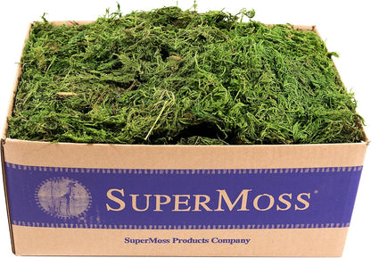 (25320) Forest Moss Preserved, Fresh Green, 2oz