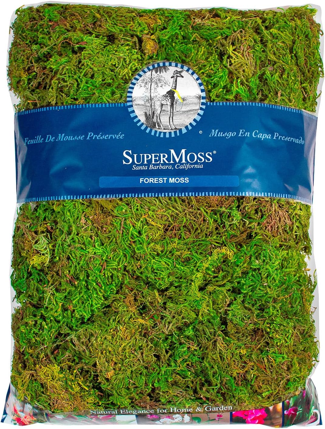 (25320) Forest Moss Preserved, Fresh Green, 2oz